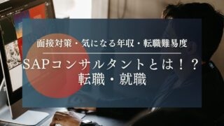 【ERPコンサルタントへの転職】SAPコンサルタントとは！？新卒・転職（キャリア採用）必見⁉︎コンサル経験に強みがあるエージェントがお伝えします